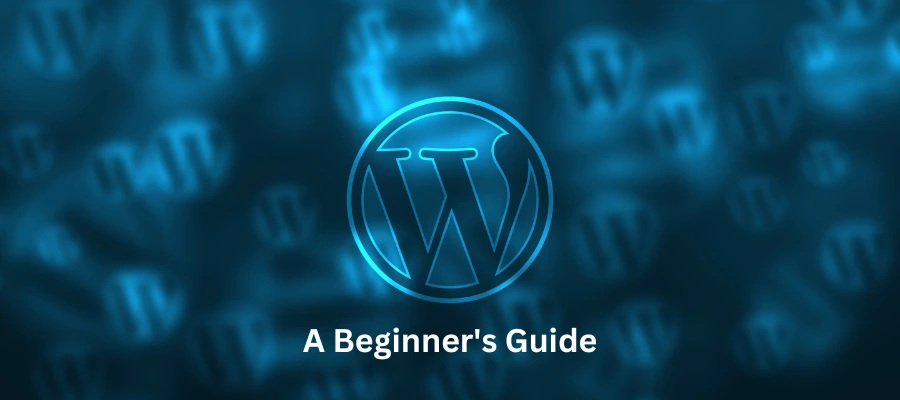 A Beginner's Guide: How to Install WordPress and Launch Your Website